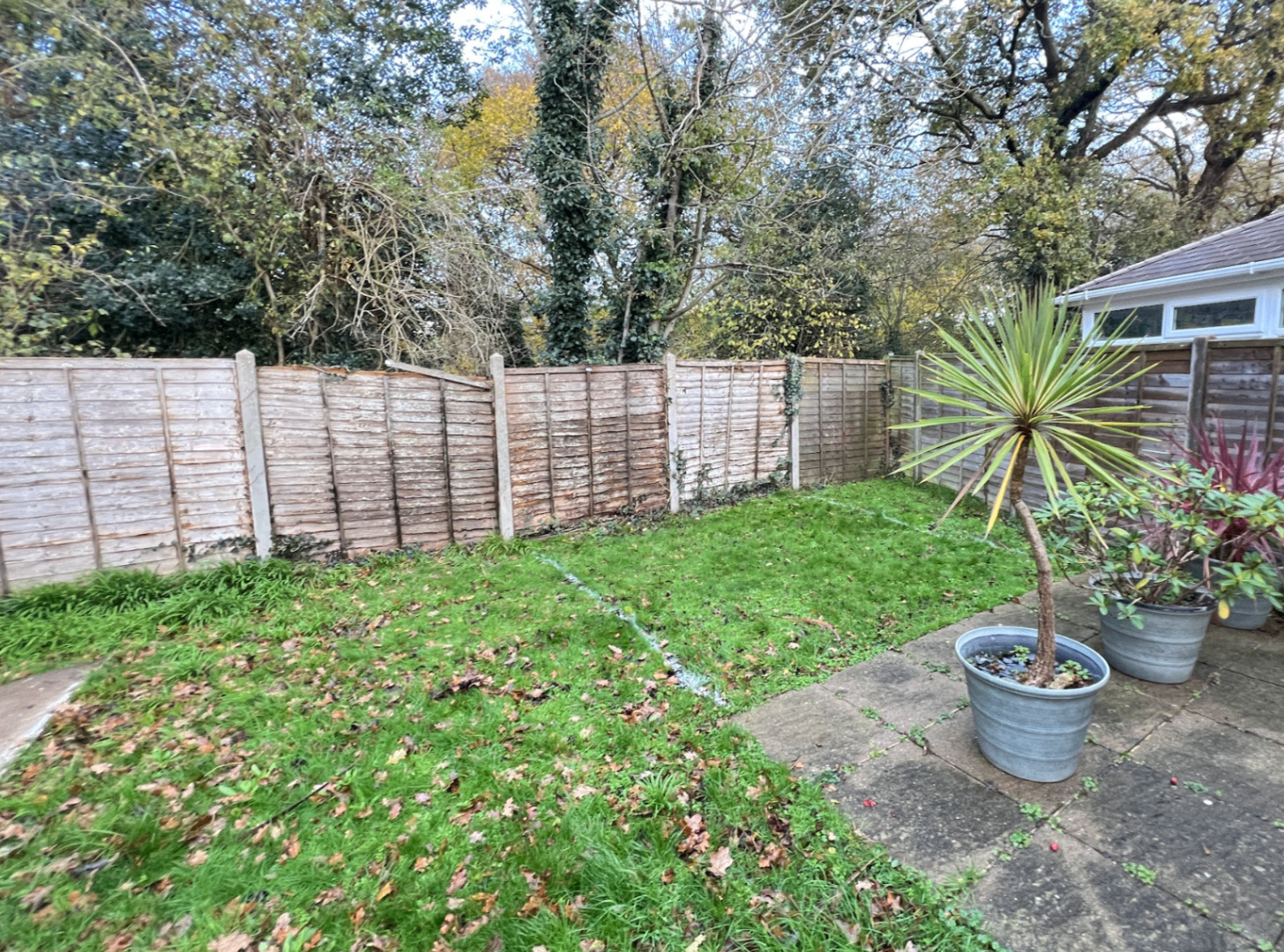 Garden before the build