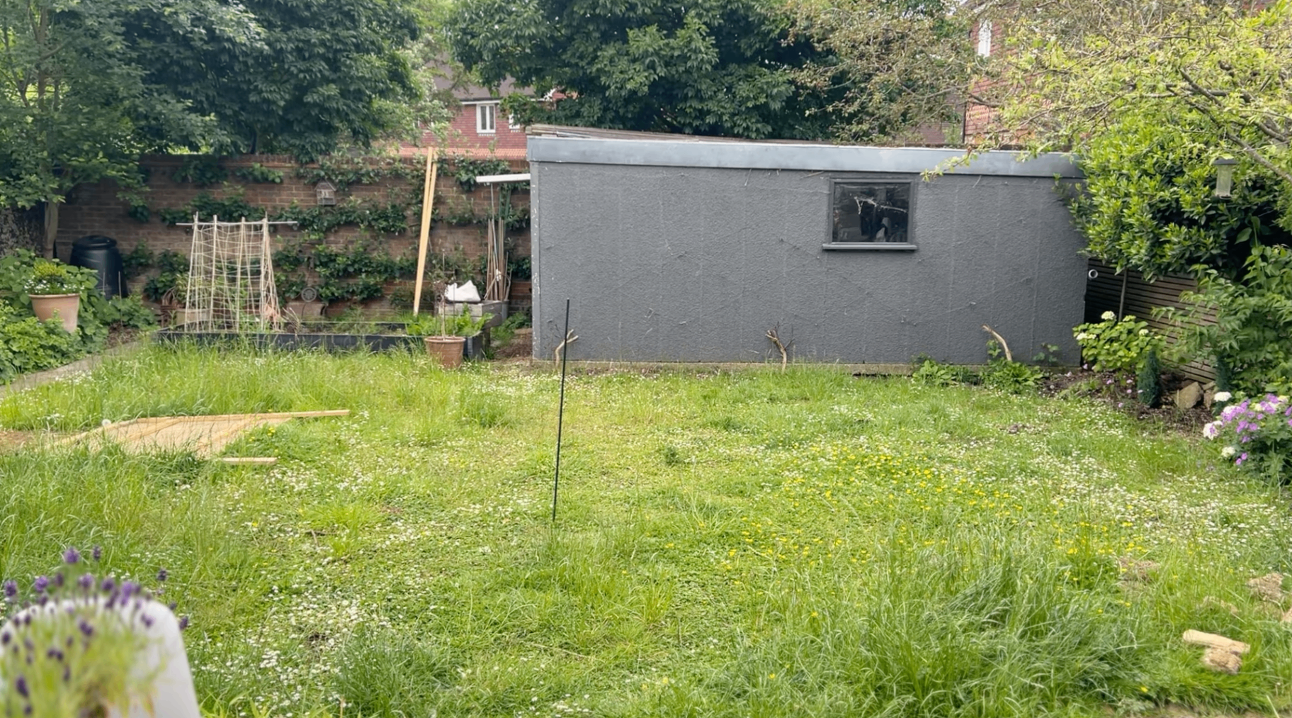 Overgrown lawn and bare boundary before the garden transformation