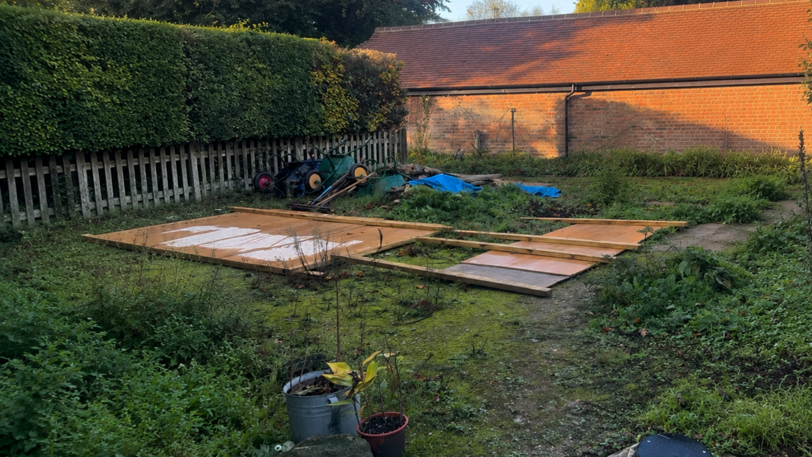 Garden transformation before