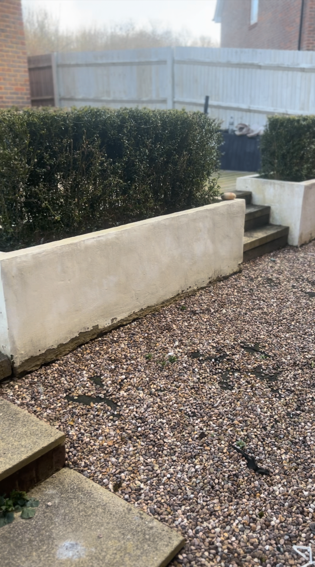 Original garden - clipped box hedging above a render planter with loose gravel and stepping stones