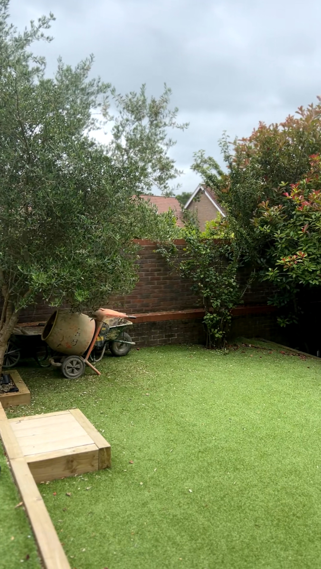 Original Haywards Heath garden - artificial lawn with olive tree and brick wall