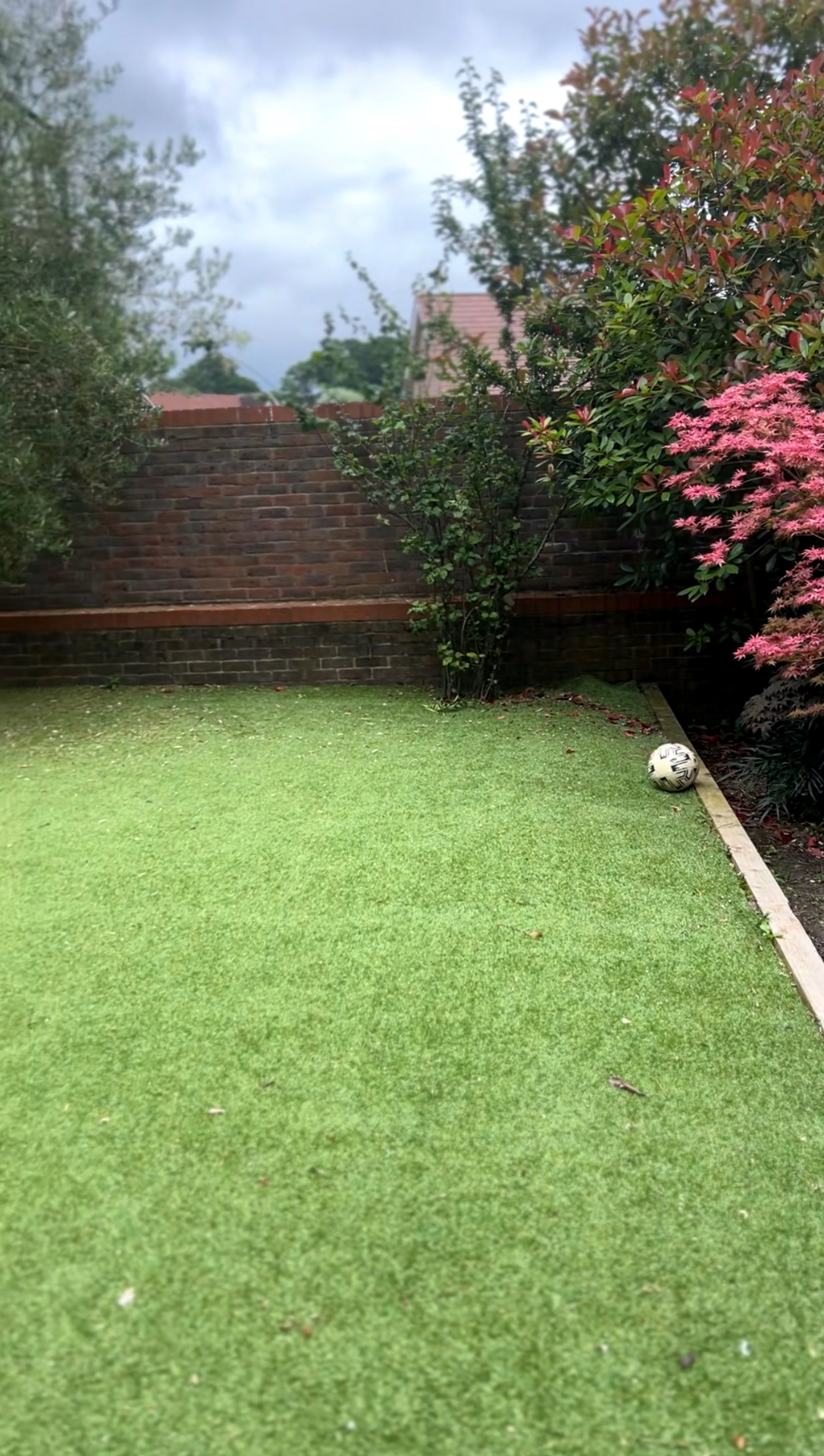 Original Haywards Heath garden - empty lawn area against brick boundary wall