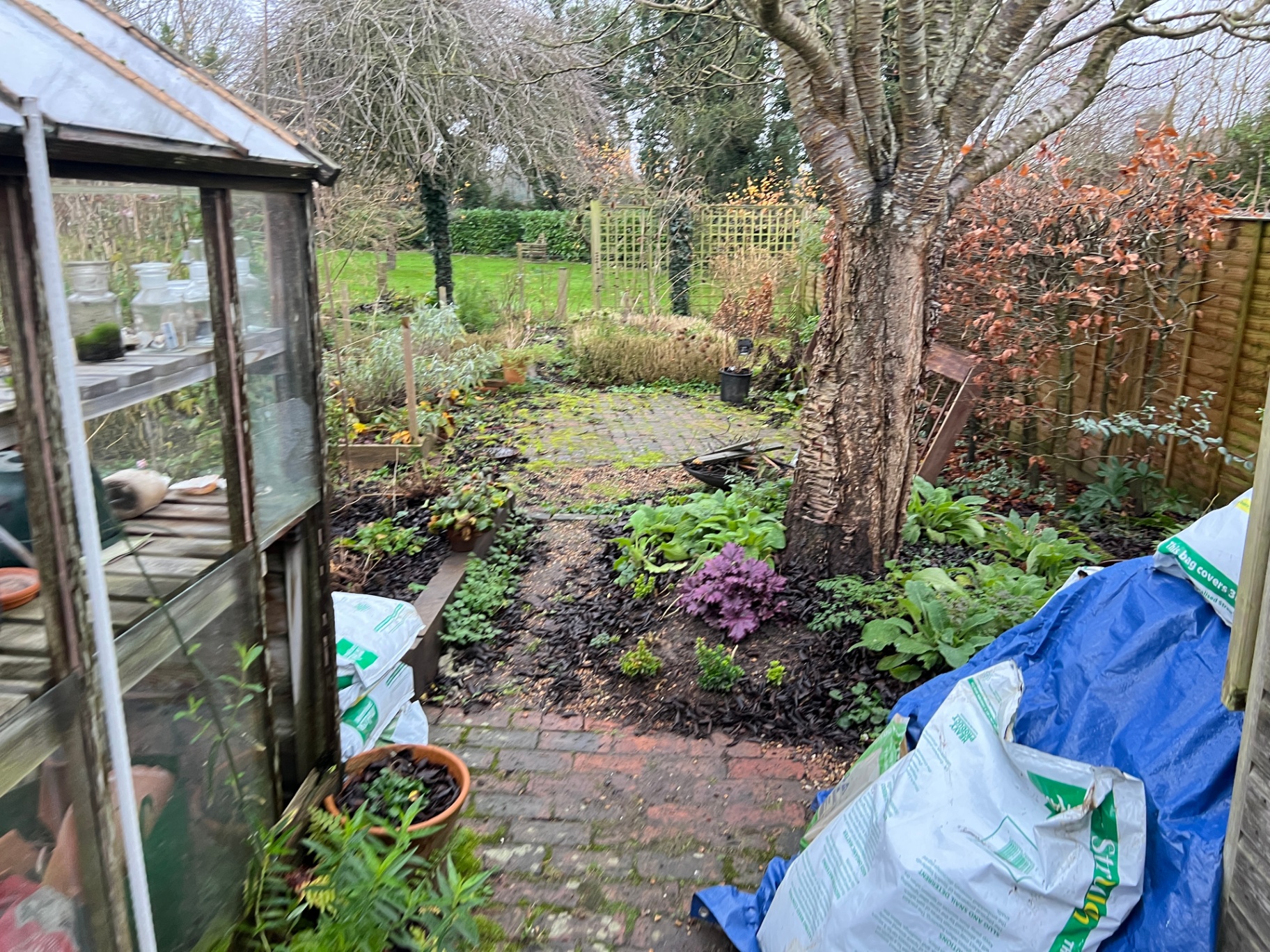 Original garden - mossy brick paving beside a weathered greenhouse with overgrown borders