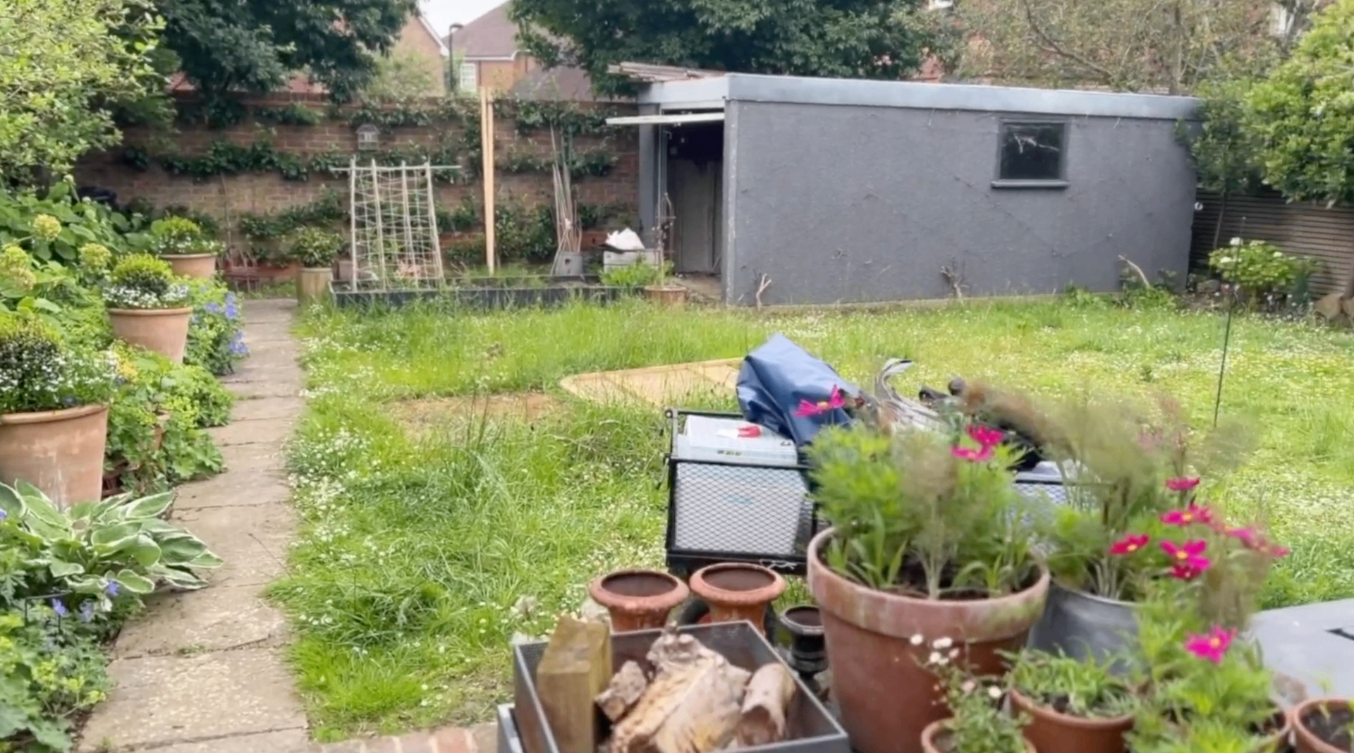 Original walled garden - overgrown lawn, scattered pots and dated grey shed